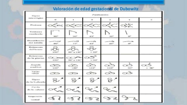 escala de dubowitz
